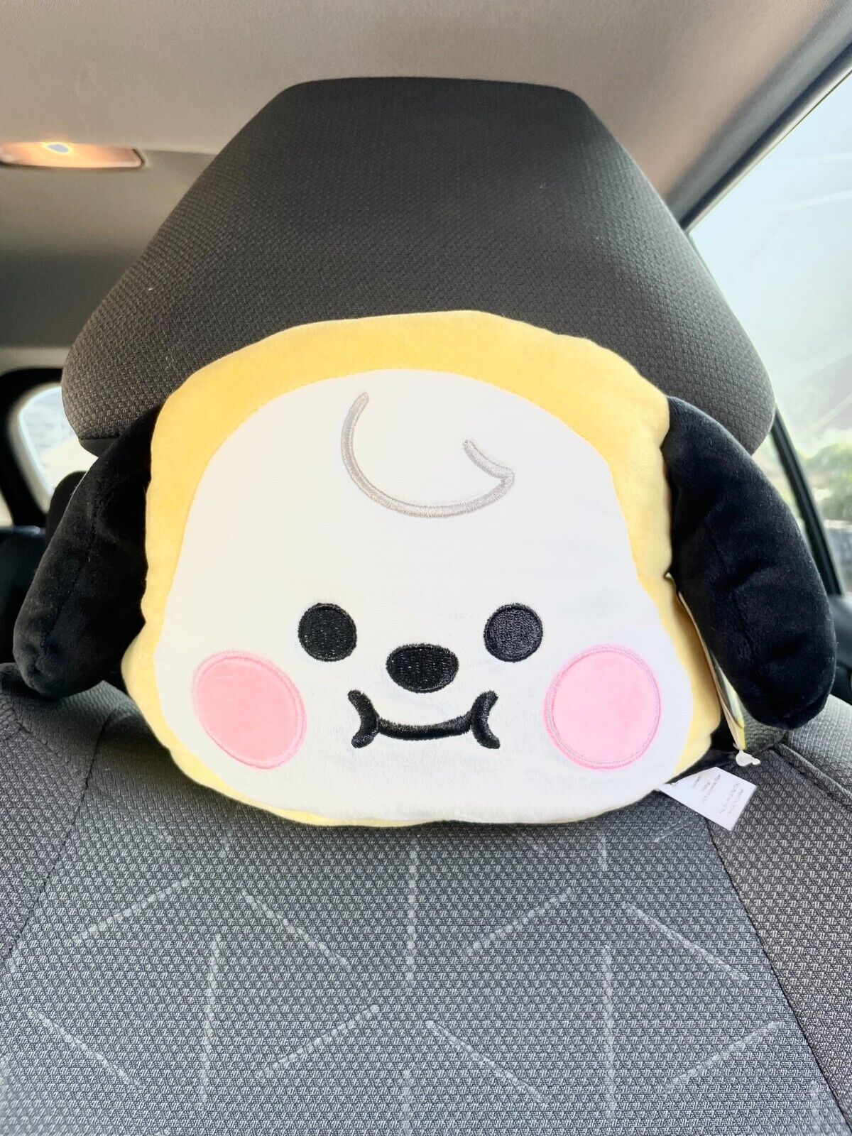 BTS BT21 x Line Friends ALl Characters Plush Cushion Car Pillow Seat Pillow