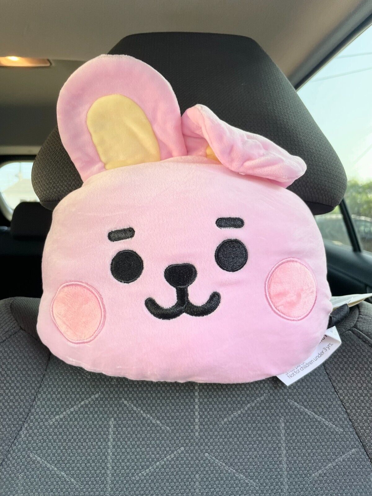 BTS BT21 x Line Friends ALl Characters Plush Cushion Car Pillow Seat Pillow