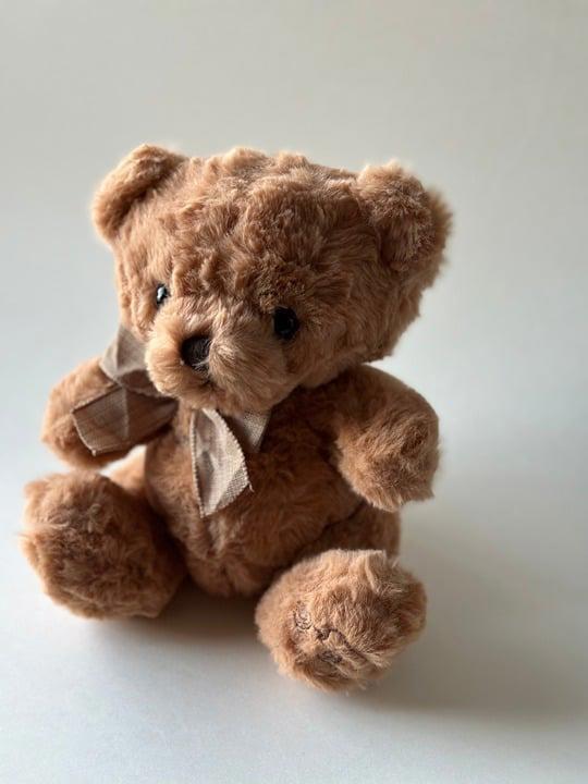 8" (20cm) Height Brown Plush Toy Teddy Bear cute gifts for friends kids gf